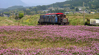 トロッコ列車　写真